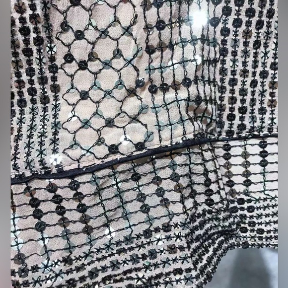 US6 Temperley London Platinum Silk Satin-trimmed Sequins Chiffon Wide-leg Pants - Picture 7 of 8